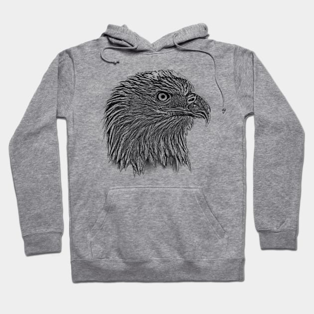 Bald Eagle, Wild and Free Hoodie by ruben vector designs